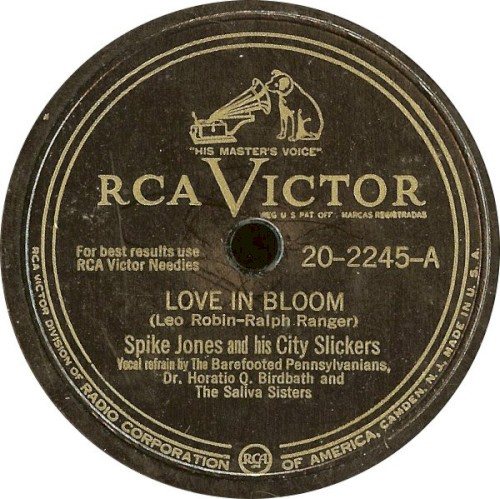 Love in Bloom / Blowing Bubble Gum