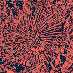 Murmur