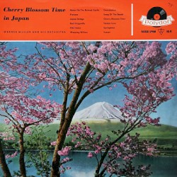 Cherry Blossom Time in Japan