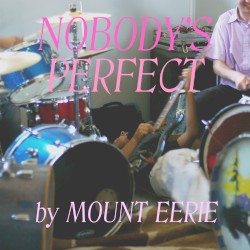 Nobody’s Perfect