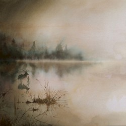 Silfur‐refur