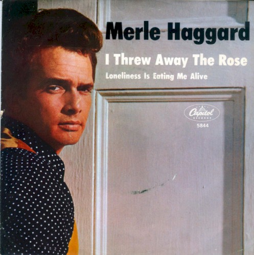 I Threw Away the Rose