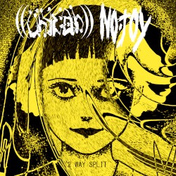 Split Album