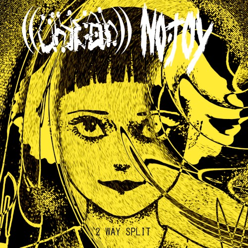 Split Album
