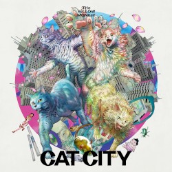 CAT CITY