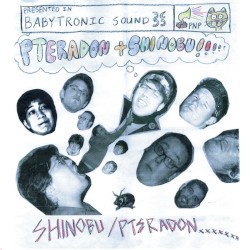 Shinobu / Pteradon