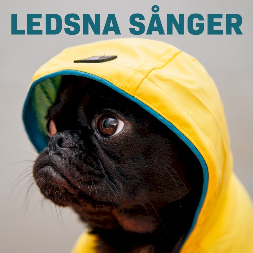Ledsna sånger