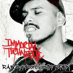 Point of No Return (R.A.W. hardcore jungle remix)