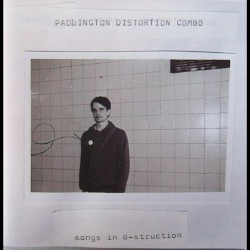 Songs in D-Struction