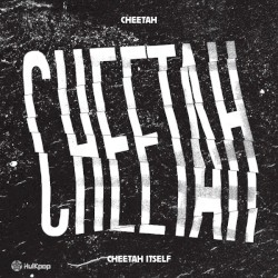 CHEETAH ITSELF