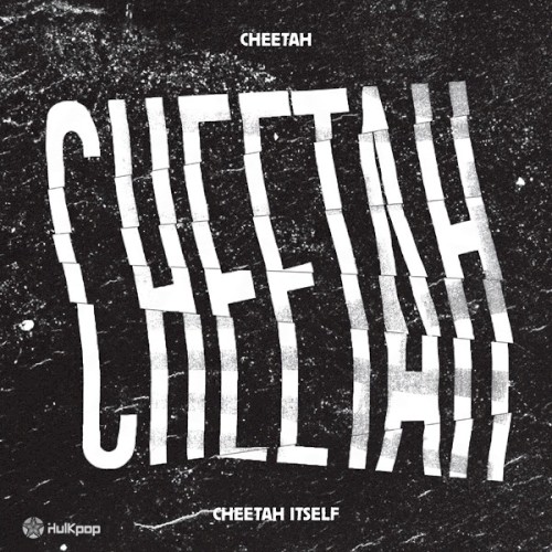 CHEETAH ITSELF