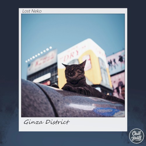 Ginza District