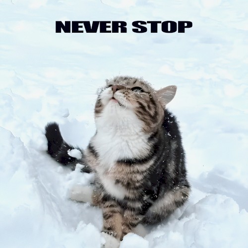 Never Stop
