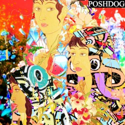 OG PoshDog