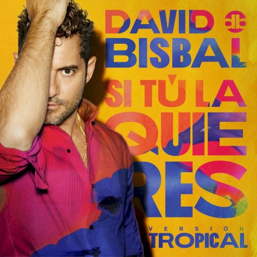 Si tú la quieres (versión tropical)