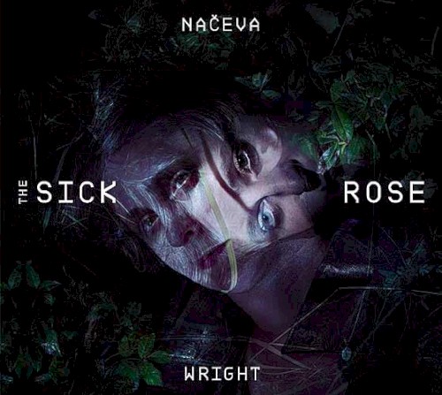 The Sick Rose
