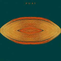 PUAJ