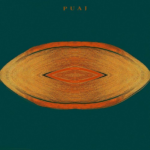 PUAJ