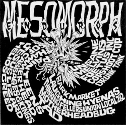 Mesomorph Enduros