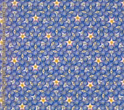 Macrometasomakosmos