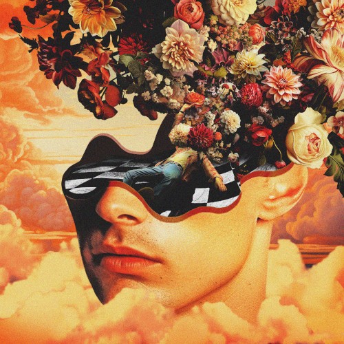 Hallucinations