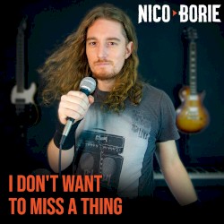 I Don't Want to Miss a Thing