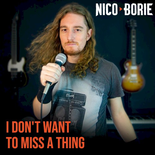 I Don't Want to Miss a Thing