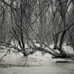 Cold and Distant, Not Loving