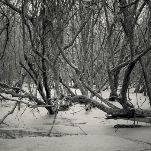 Cold and Distant, Not Loving