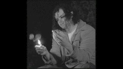 The Forest for the Trees (instrumental)