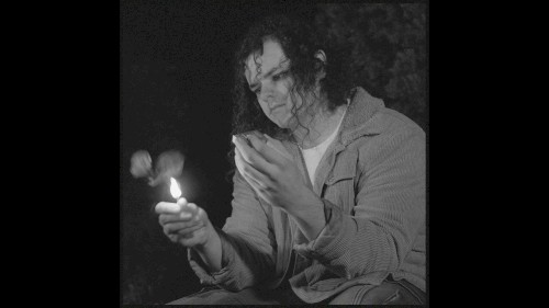 The Forest for the Trees (instrumental)