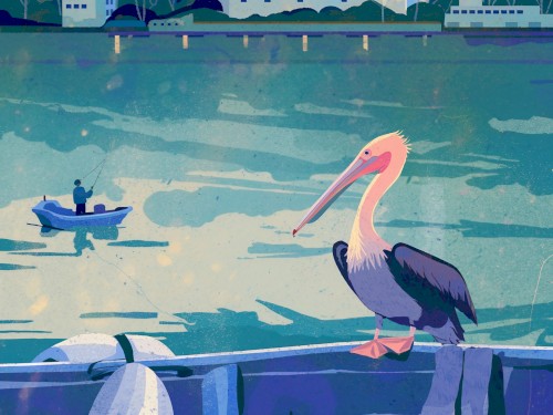 Sponge Dock Pelican