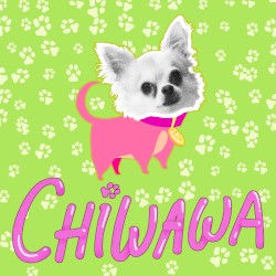 Chiwawa (sped up)