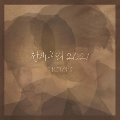 청개구리 2021