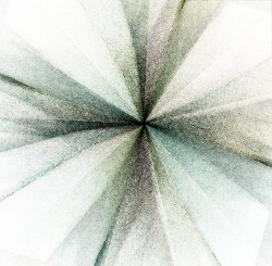 aster