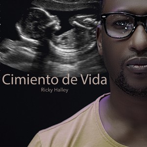 Cimiento de vida