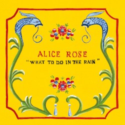 What to Do in the Rain