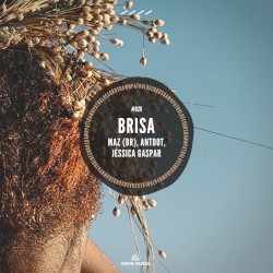 Brisa