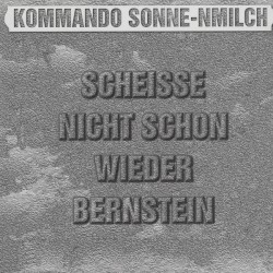 Scheiße nicht schon wieder Bernstein