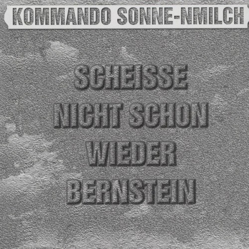 Scheiße nicht schon wieder Bernstein