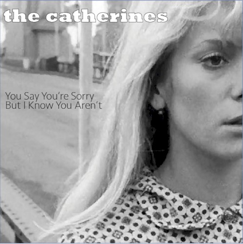 You Say You're Sorry but I Know You Aren't