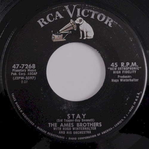 Stay / Little Serenade