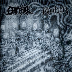 The All-Consuming Void of Death and Decay