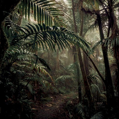 NEST LP / TAPE