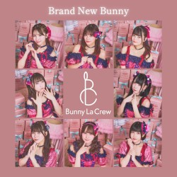 Brand New Bunny