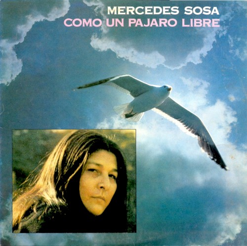 Como un pájaro libre