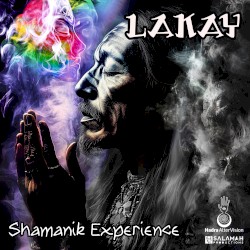 Shamanik Experience