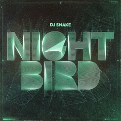Nightbird