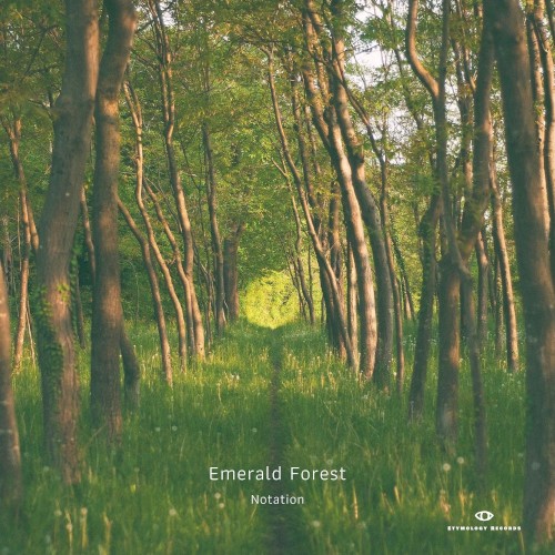 Emerald Forest