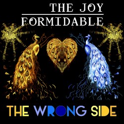 The Wrong Side